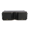 KARA Dual 8 Inch 2 Way Line Array Source Element