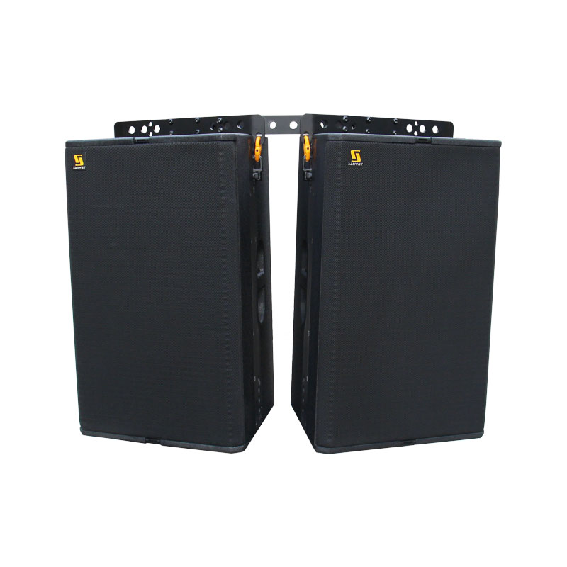 T24N Dual 12 Inch Loudspeaker With Excellent Speech Intelligibility And Musicality