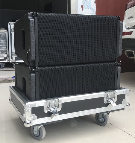 Vera20 Dual 10'' 2 Way Line Array Speaker